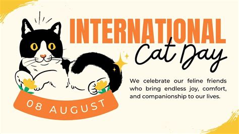 International Cat Day 2023: 10 Fun Facts About Cats That You Probably Didn't Know | Top 5 ...