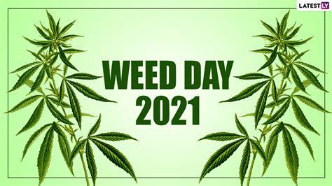 Festivals & Events News | Happy Weed Day 2021! Date, History and Significance | 🙏🏻 LatestLY