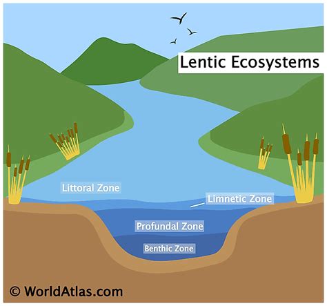 Lake Stratification - WorldAtlas