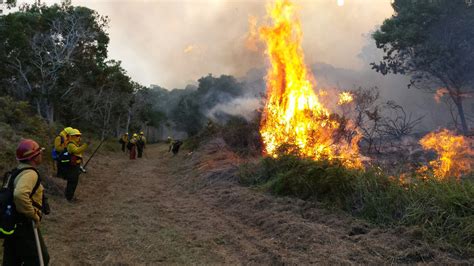 Mauna Loa Fire Grows To 1,495 acres, Half-Mile From Kipuka Ki