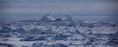 Types of fast ice – Australian Antarctic Program