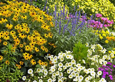 Pollinator Gardens: A Splash of Colour For a Good Cause - PropertyGuys.com Blog