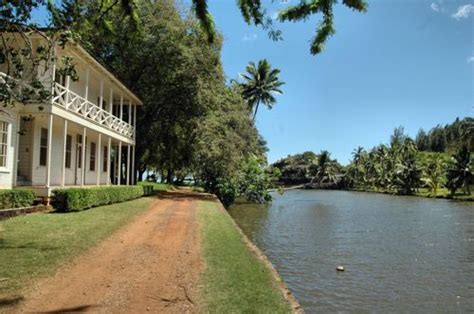 Allerton gardens | Kauai hawaii, Kauai, Allerton