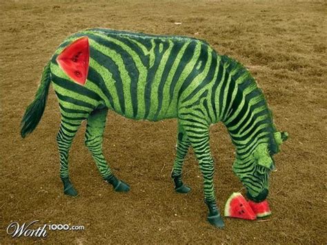 Amazing Animals Pictures: Amazing combination of animals with photoshop (40 Pics) | Photoshopped ...