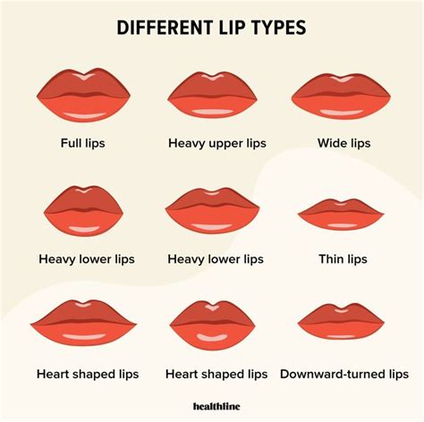 Types of Lips: Lip Care, Lip Enhancement, and Lip Facts | Lip ...