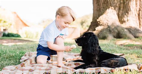 Prince George 3rd Birthday Portrait Photos