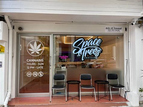 Spacetrees - Weeddee - Thailand Cannabis Shops Directory