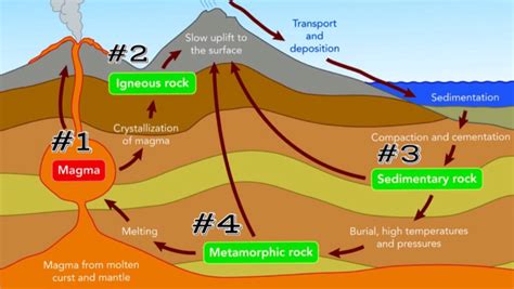 What is Geological/ Rock Cycle and its Types - Forestry Bloq