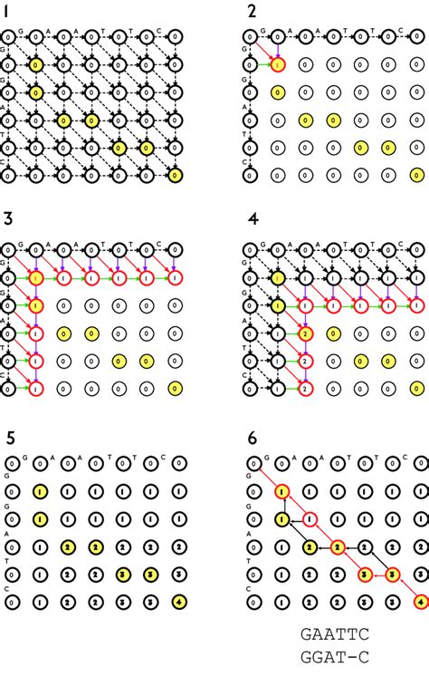 1: Dynamic programming path graphs for the Needleman-Wunsch algorithm.... | Download Scientific ...