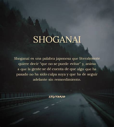 3,553 Me gusta, 16 comentarios - sxgitario ® (@sxgitario) en Instagram: "Shoganai, sigue adelan ...