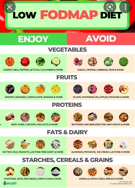 Fructose malabsorption food list which foods to avoid – Artofit