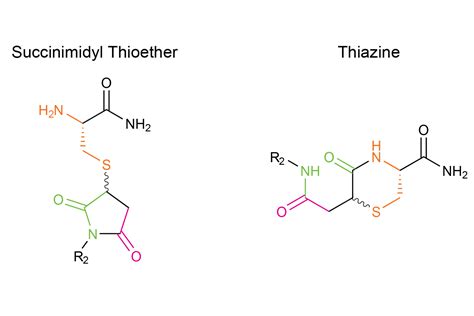 The thiol-maleimide reaction downside