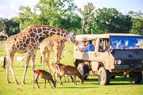 Best Safari Park Winners (2023) | USA TODAY 10Best