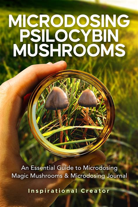 Microdosing Psilocybin Mushrooms: An Essential Guide to Microdosing ...