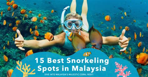 15 Best Snorkeling Malaysia Spots You Need To Visit This Year (2024 ...