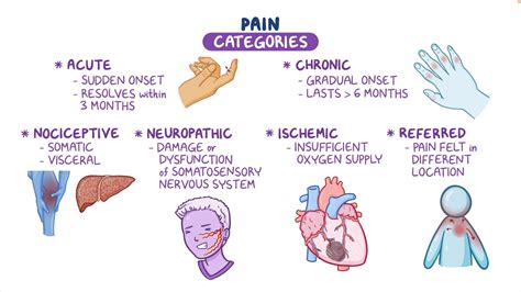 Physiology Of Pain Perception