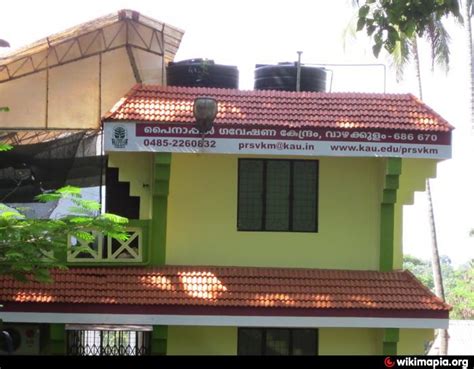 Pineapple Research Station, Kerala Agricultural University, Vazhakulam ...