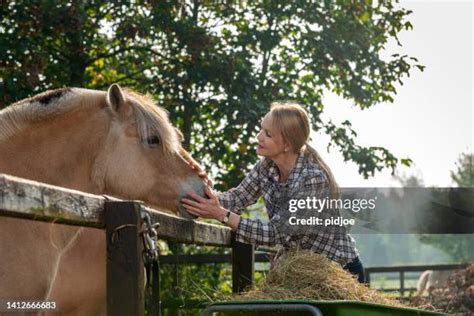 717 Cleaning Horse Stable Stock Photos, High-Res Pictures, and Images - Getty Images