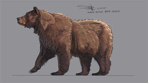 Grizzly Bear - Anatomy and Color practice by ShorePlain on DeviantArt