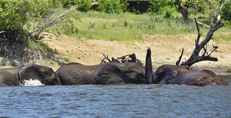 Bespoke Safaris in the Victoria Falls, Zimbabwe - Journeys by Design