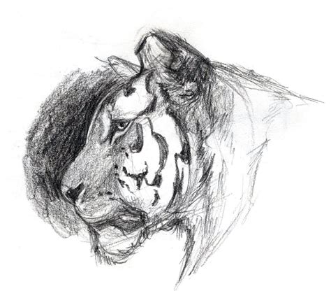 Animal Drawings - From Reference | Animal drawings, Epic drawings, Cute animal drawings