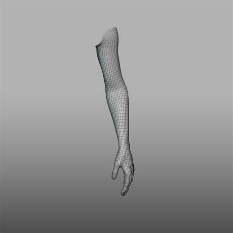 3D hand anatomy model - TurboSquid 1585782