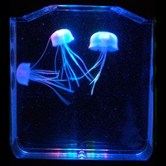 Aquapict LED Illuminated Jellyfish Aquarium - The Green Head