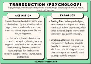 Transduction (Psychology): 10 Examples and Definition (2024)