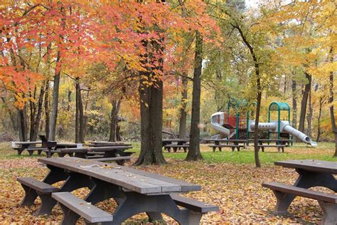 Unreserved Picnic Area - Greenbelt Park (U.S. National Park Service)