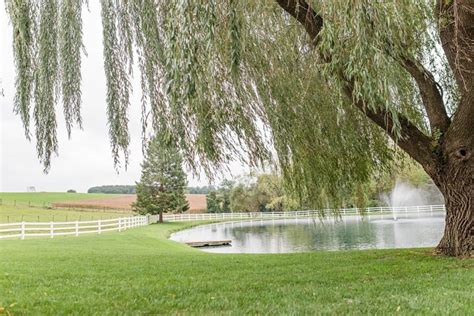 A Pond View Farm Wedding - Costola Photography