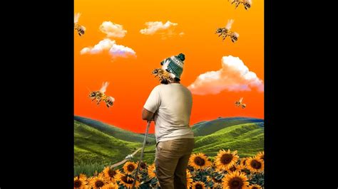 Tyler the creator flower boy cover cd - stellarmasa