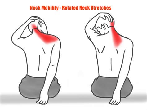 Eliminate Forward Head - Prehab Exercises | Neck and shoulder exercises ...