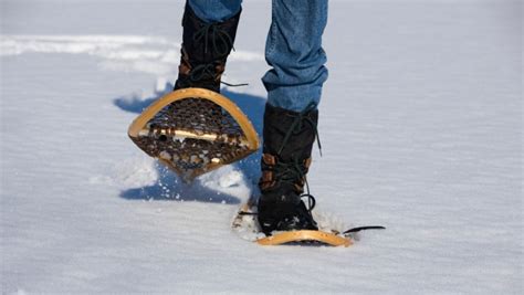 5 Places to go Snowshoeing Outside of Mississauga | insauga