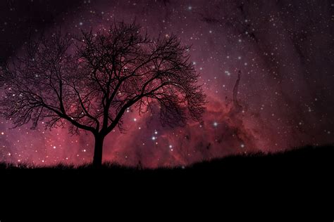 🔥 [48+] Stars HD Wallpapers | WallpaperSafari