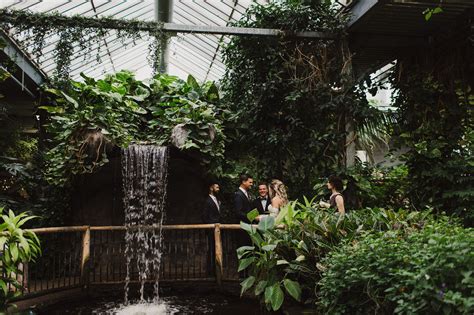 Cambridge Butterfly Conservatory - The Wedding Ring