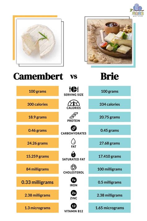 Camembert vs Brie Cheese: Taste Difference & Full Nutritional Comparison