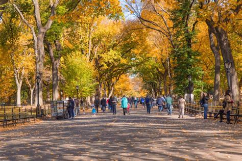 CENTRAL PARK NYC MALL WALK editorial stock image. Image of landmark ...