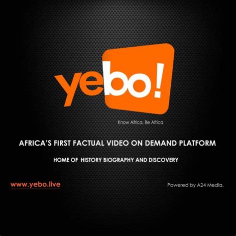 YEBO LOGO – The Sierra Leone Telegraph