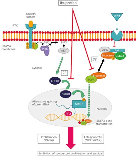 Nsaid Mechanism Of Action