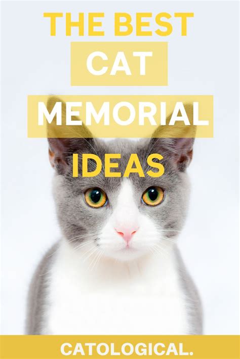 Our Favorite Cat Memorial Options in 2020 | Cat memorial, Cat memorial ideas, Cat love quotes