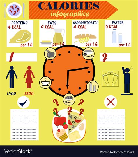 Infographic counting calories calorie diet Vector Image