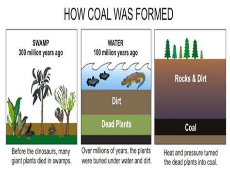 Revision Notes Class 8 Chapter 5 Coal and Petroleum