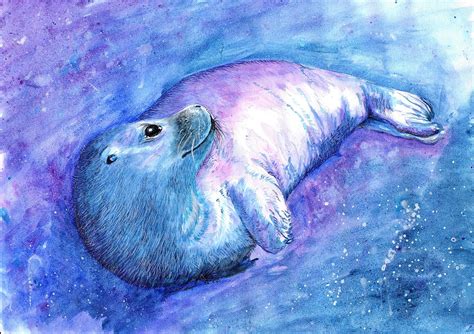 Seal Seal Art Seal Drawing Seal Print Sea Wildlife - Etsy UK