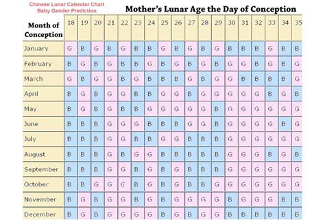 Lunar Year Age Converter