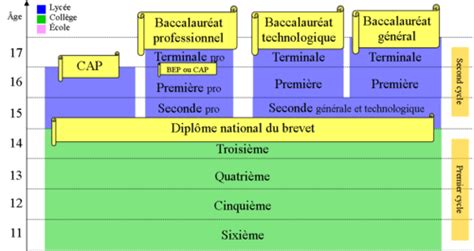 The French School System Explained 👩🏼‍🏫 | Learn french, School system ...