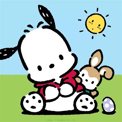 Pochacco | Hello kitty characters, Sanrio hello kitty, Sanrio characters