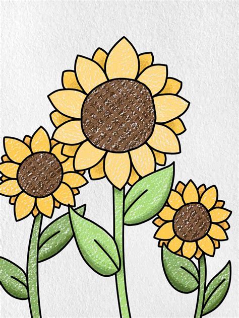 How to Draw Sunflowers - HelloArtsy