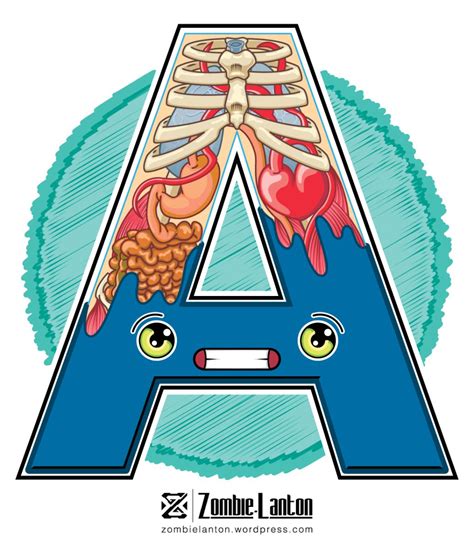 Anatomía de la A, Ilustración | Concepto de anatomia, Ilustración vectorial, Ilustraciones