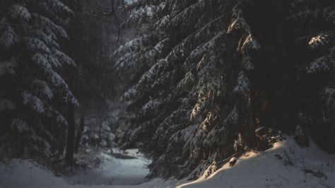 Dark With Snow Wallpapers - Wallpaper Cave