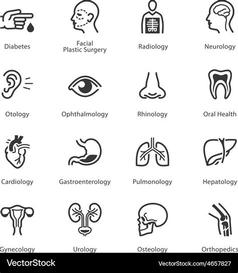 Medical and Health Care Icons Set 1 - Specialties Vector Image